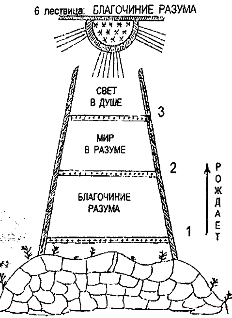 lestv image028