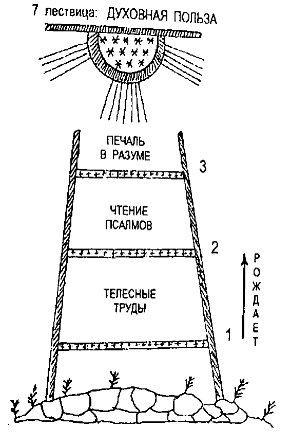 lestv image029