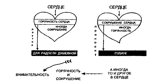 lestv image034
