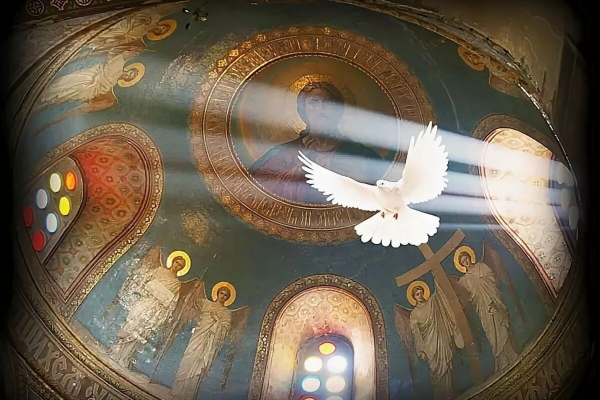 Святость Церкви.